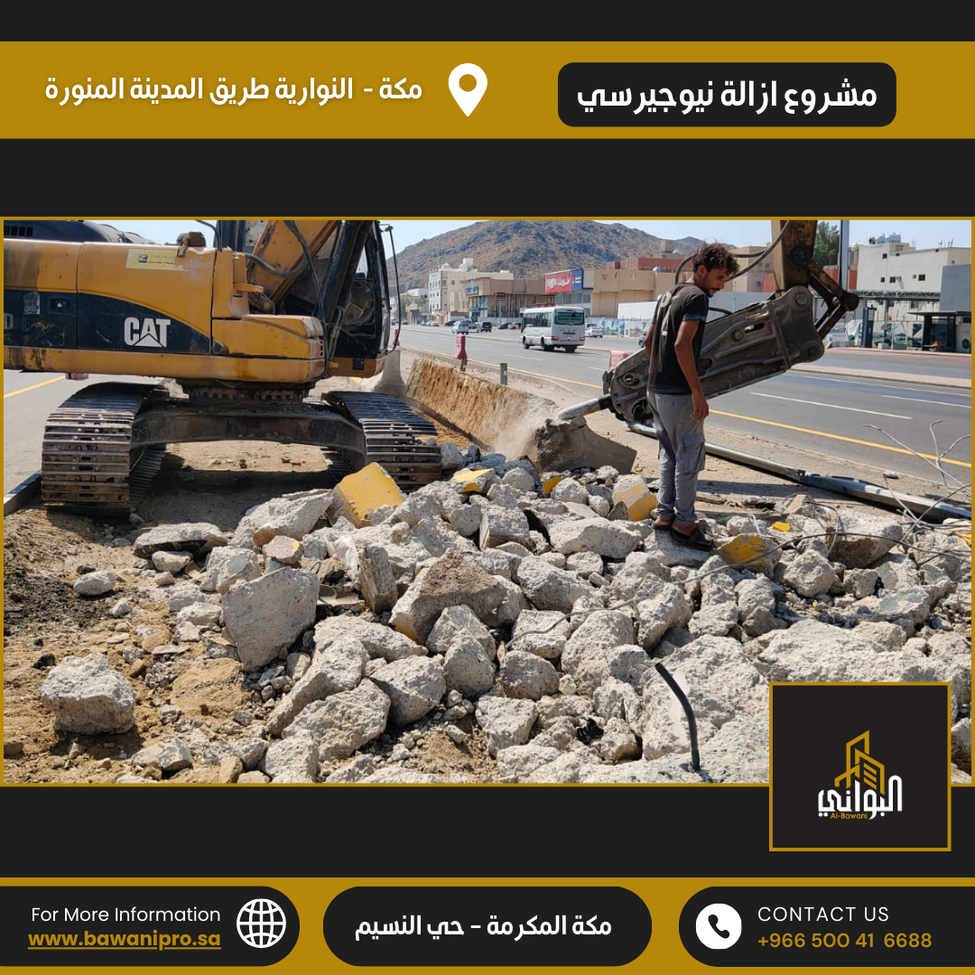 البواني المحترفة المحدودة