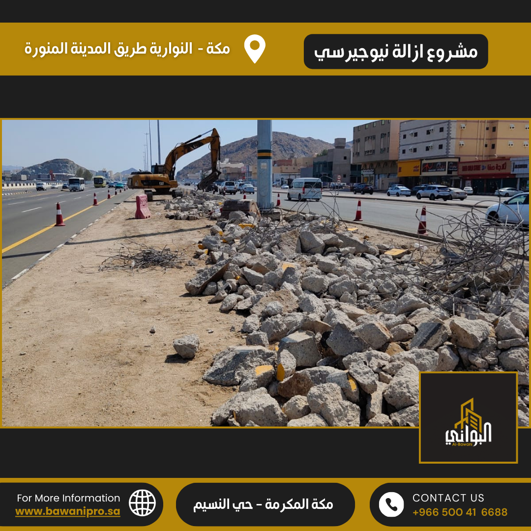 البواني المحترفة المحدودة