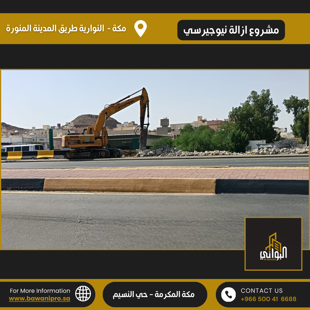 البواني المحترفة المحدودة