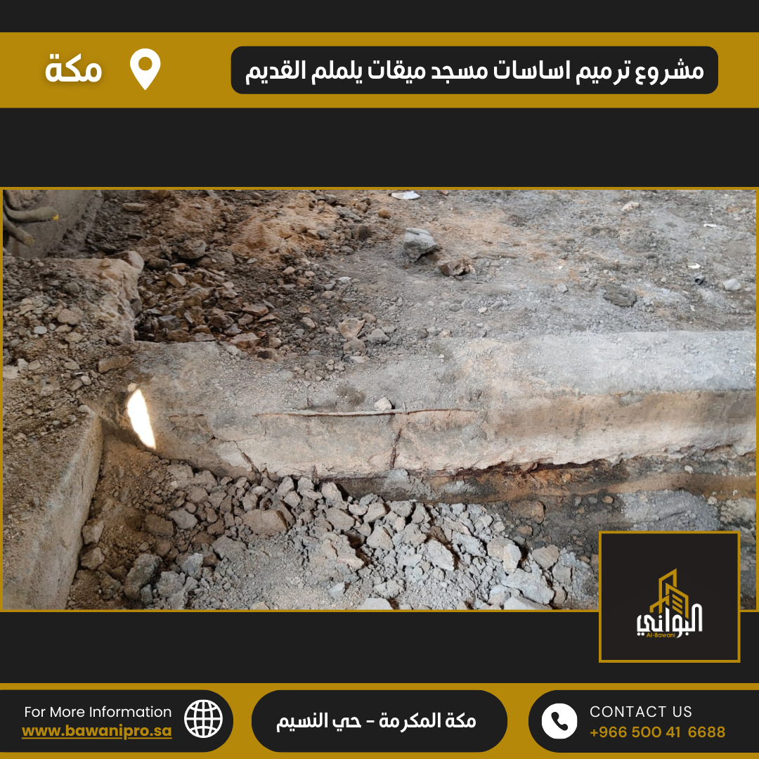 البواني المحترفة المحدودة