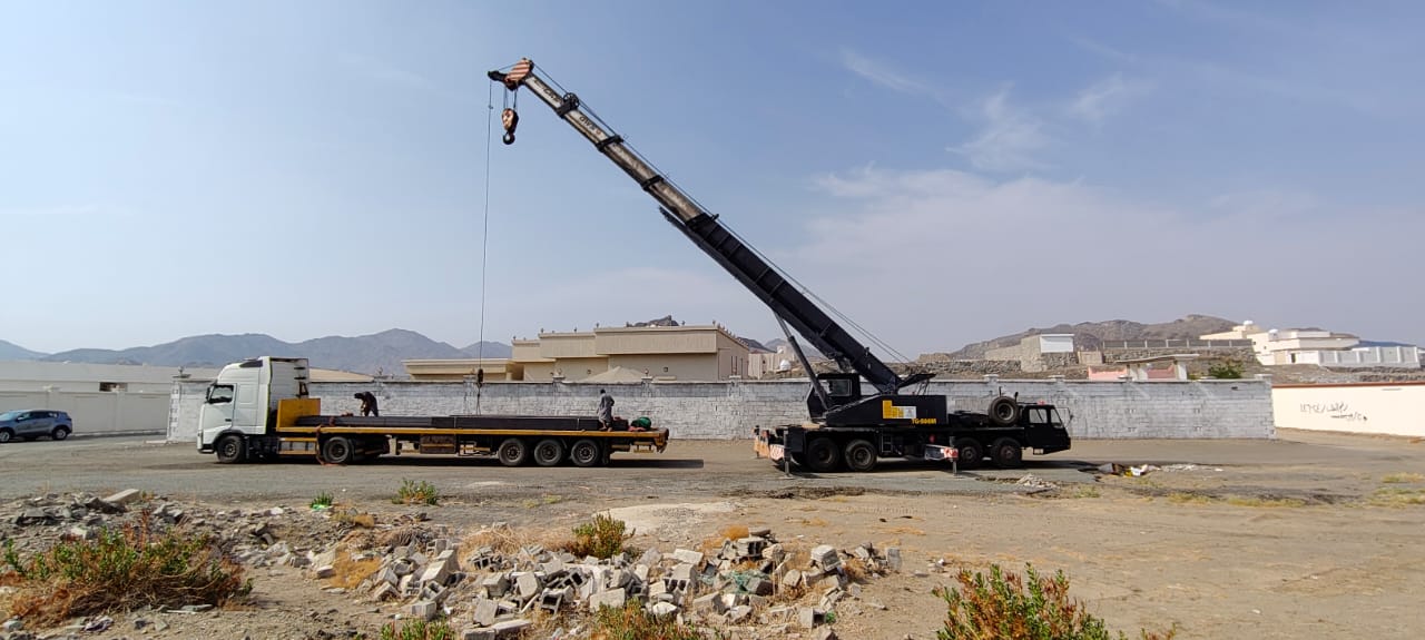 البواني المحترفة المحدودة