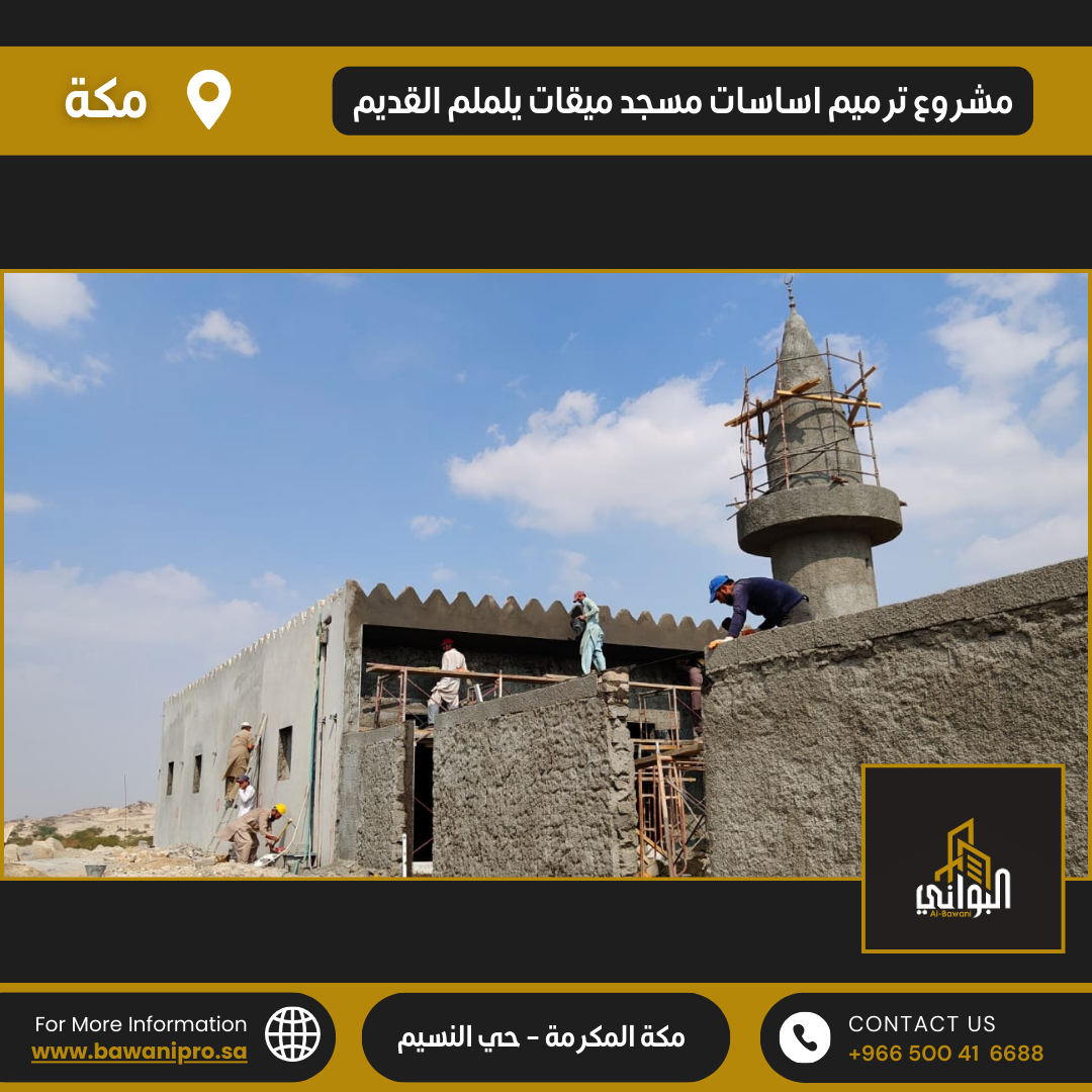 البواني المحترفة المحدودة