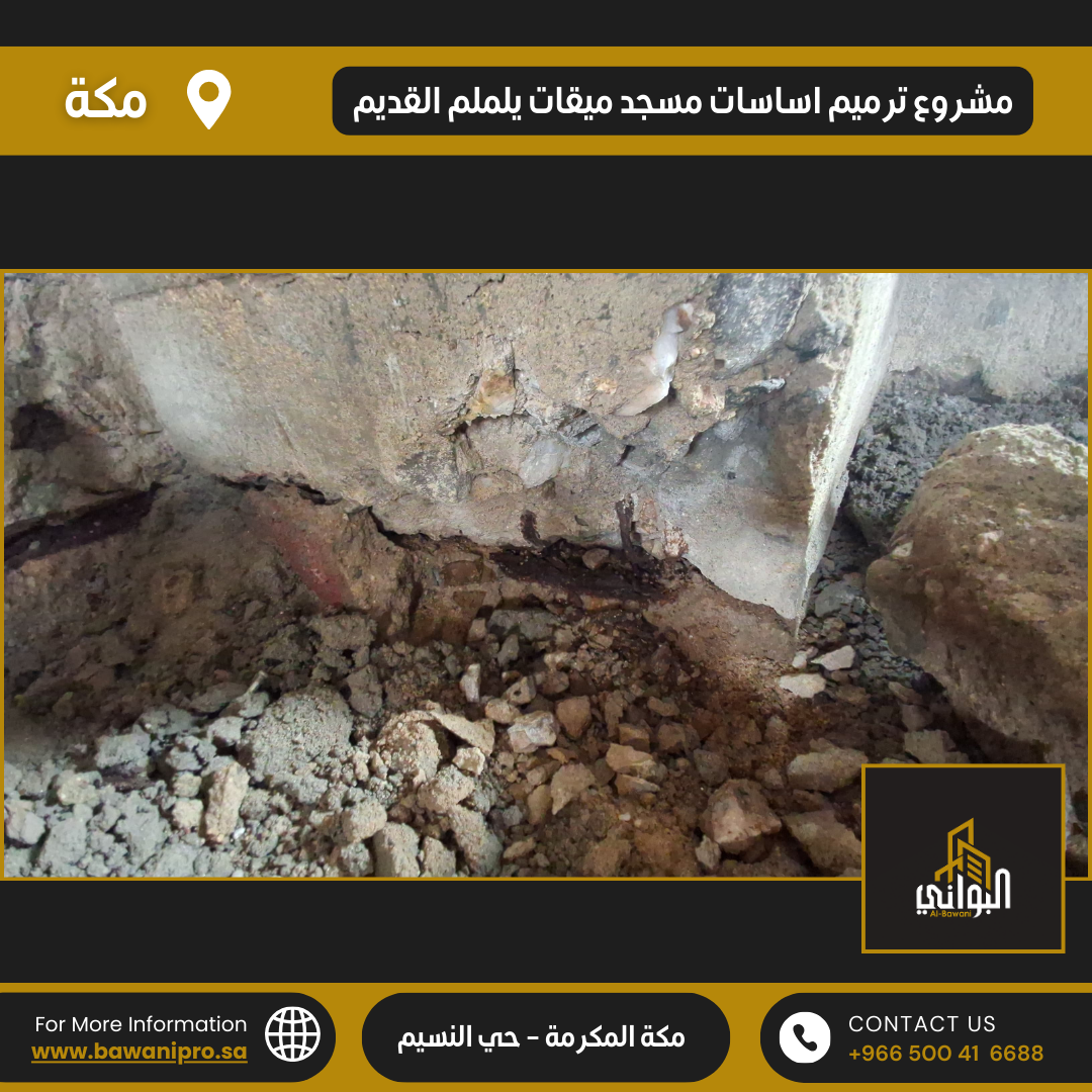 البواني المحترفة المحدودة