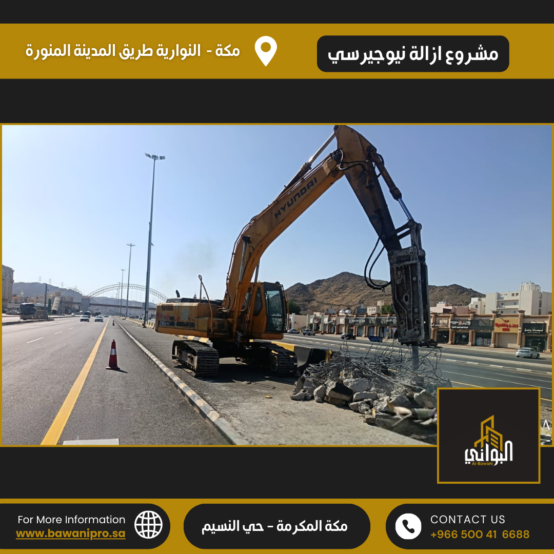 البواني المحترفة المحدودة