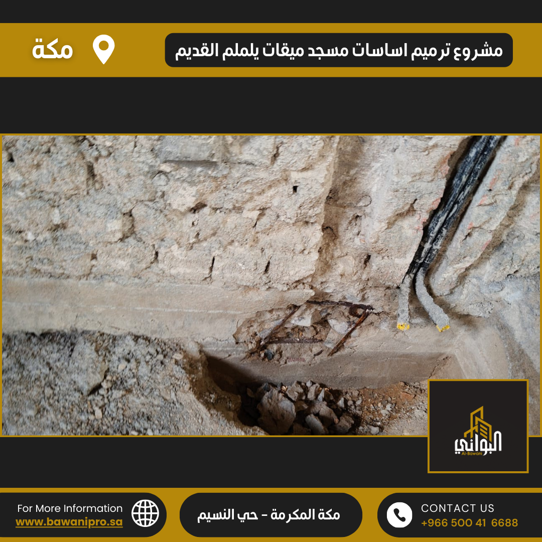 البواني المحترفة المحدودة