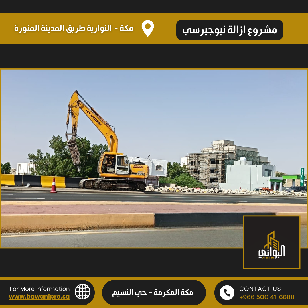 البواني المحترفة المحدودة